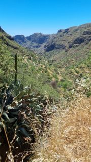 2023-04-GranCan-Guayadeque-074.jpg